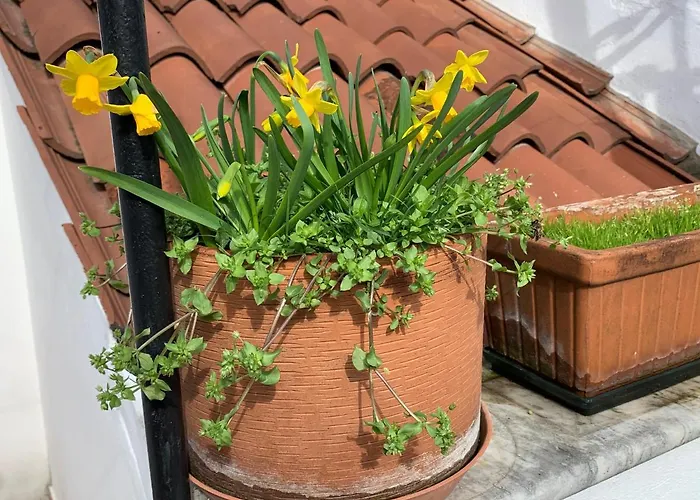 Appartement Rooftop Terrace Domus Dei Fabbri