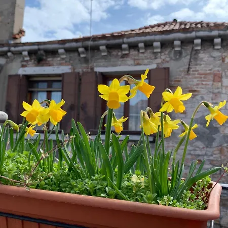 Rooftop Terrace Domus Dei Fabbri Appartement